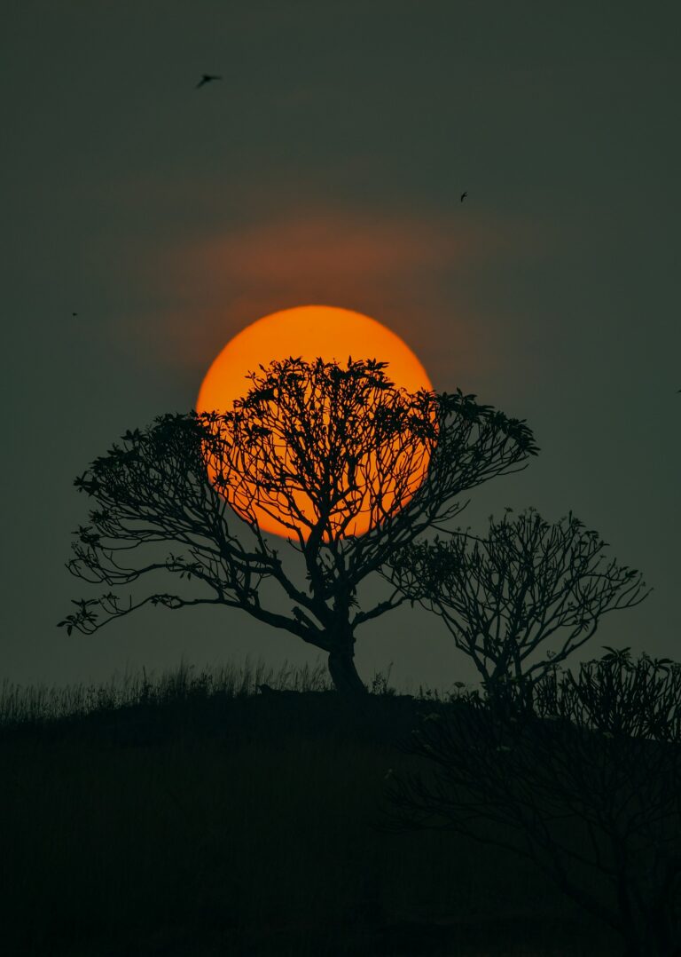 Understanding Your Big Three: Sun, Moon, and Rising Sign