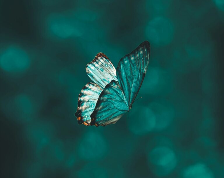 What Are Synchronicities?